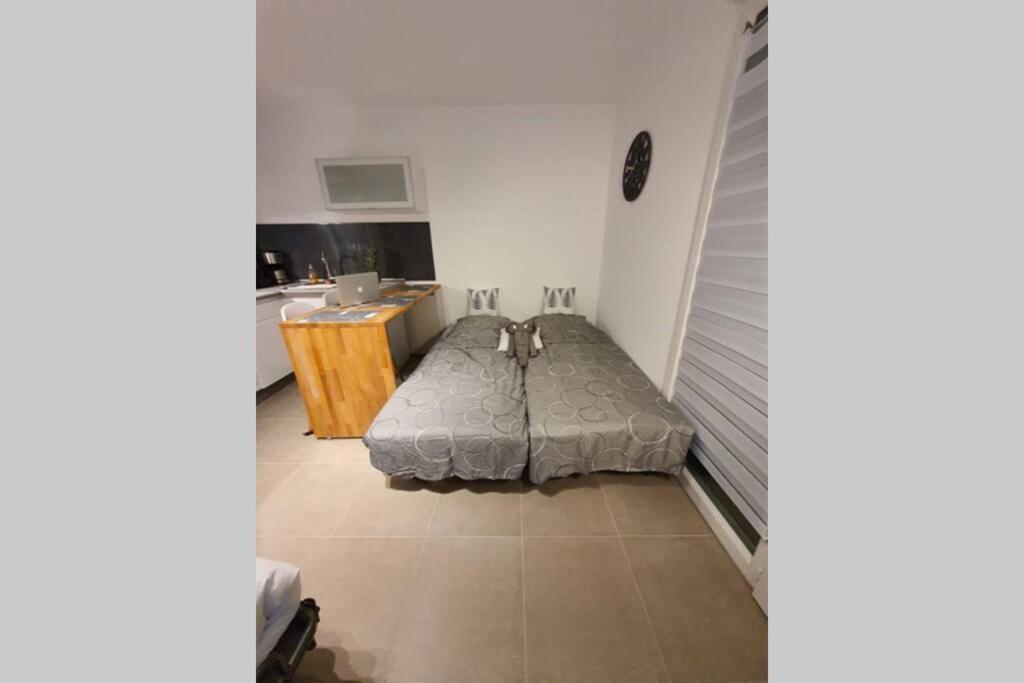 Riviera Sun Standing Studio Villeneuve-Loubet Exterior foto